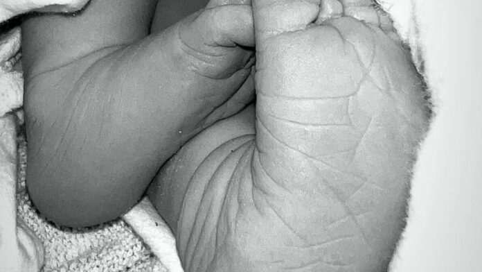 1746718521_news_image_image.gala_.de24368070t73v2w1440r1.7778teaser.jpg.jpeg