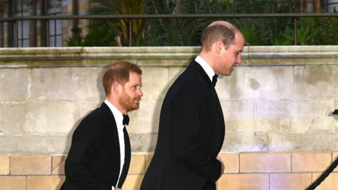 1746782601_news_image_image.gala_.de24368606td6v5w1440r1.7778prinzharryprinzwilliam.jpg.jpeg