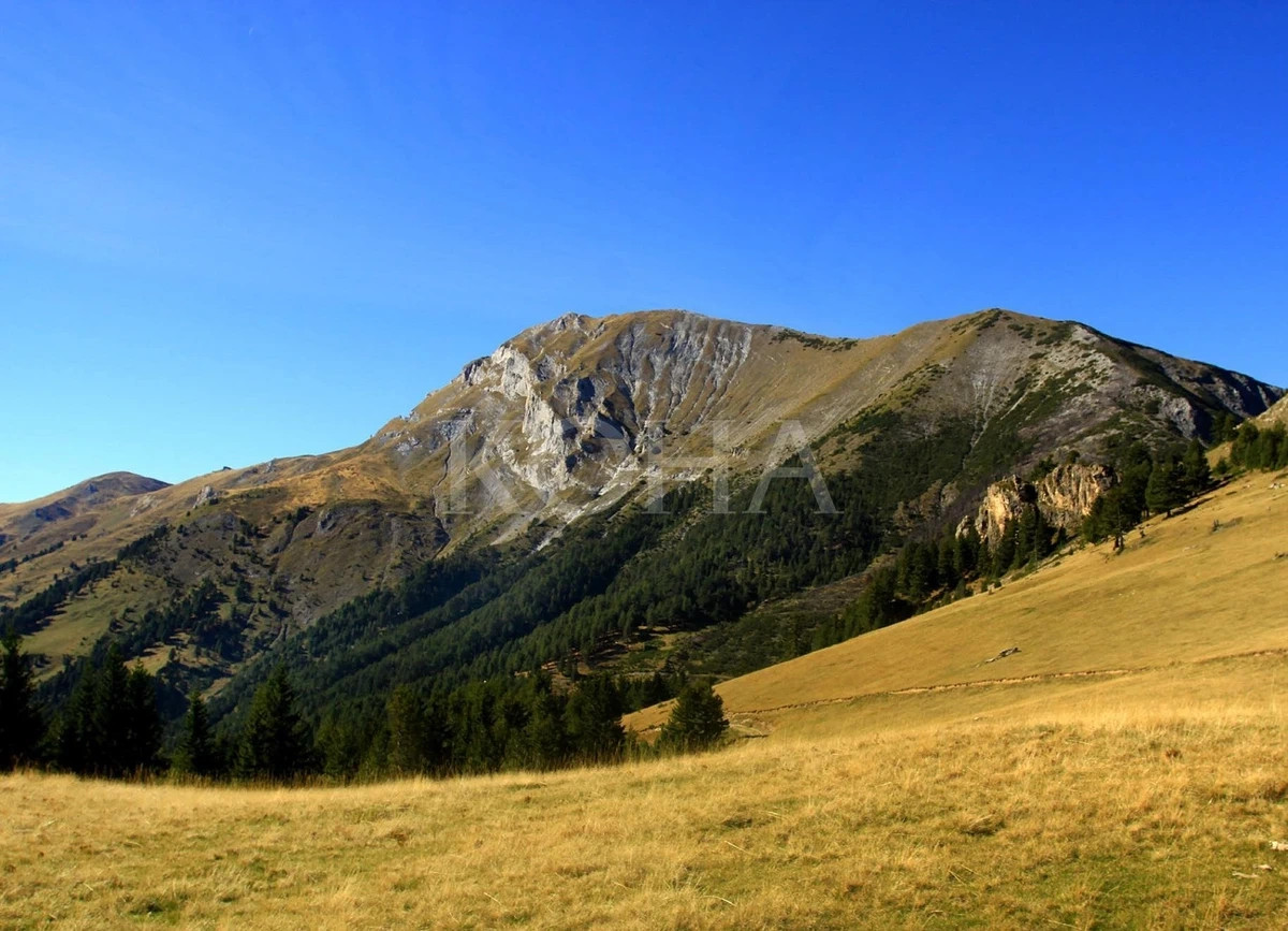 Shpëtohen dy alpiniste pas disa orësh kërkimi në Bjeshkët e Sharrit