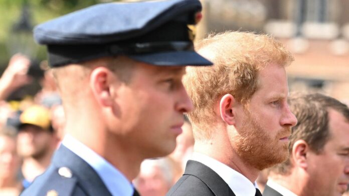 1750675048_news_image_image.gala_.de24402824t3Sv2w1440r1.7778prinzharryprinzwilliam.jpg.jpeg