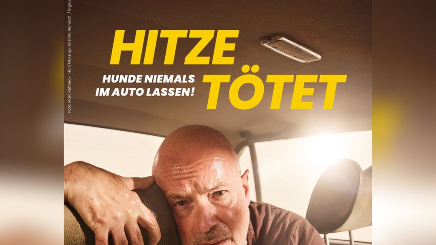 Christian Berkel në një fushatë të re PETA: Ylli i TV djersitje për mirëqenien e kafshëve