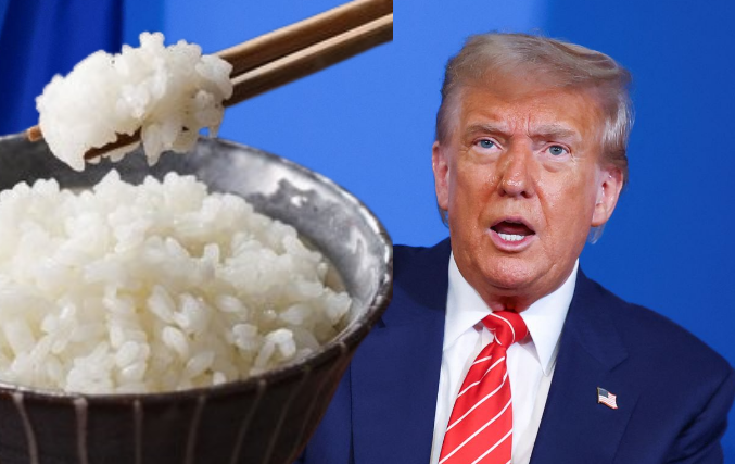 Trump kërcënon Japoninë me tarifa të reja: S’po na blejnë orizin