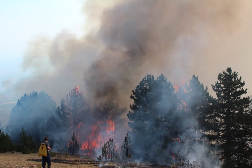 Temperaturat e larta, MPB me vendim ndalon ndezjen e zjarreve në ambiente të hapura