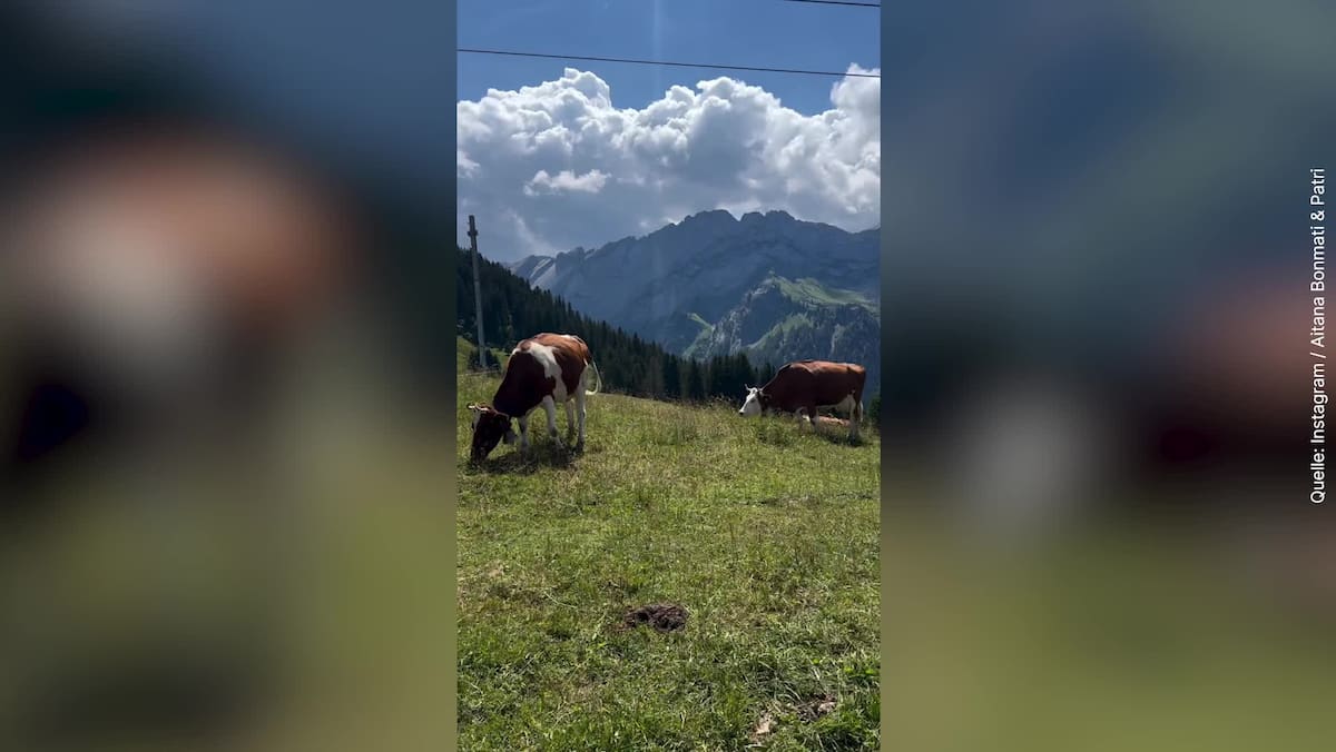 EM Yjet në Zvicër: Spanjollët Postimet Video Lopa Pas ekskursionit
