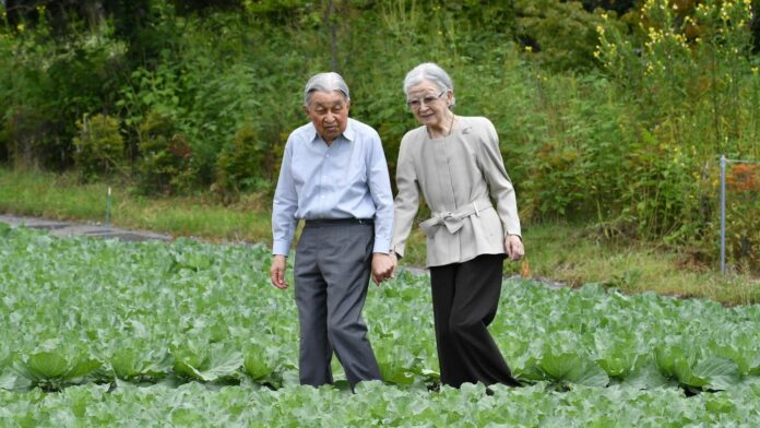 1752604634_news_image_image.gala_.de24418394tgPv3w1440r1.7778akihitomichiko.jpg.jpeg
