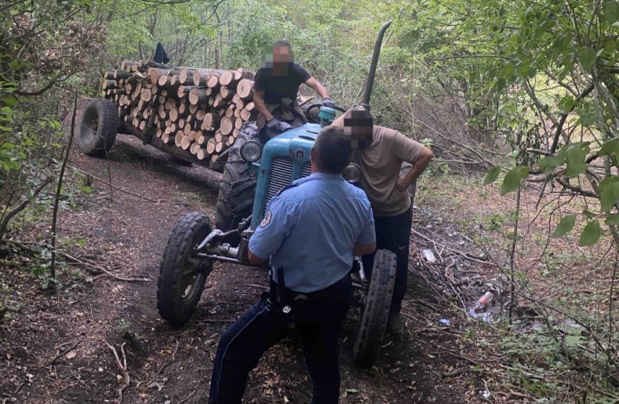 Policia në Zveçan arreston dy persona, dyshohen për vjedhje të pyllit