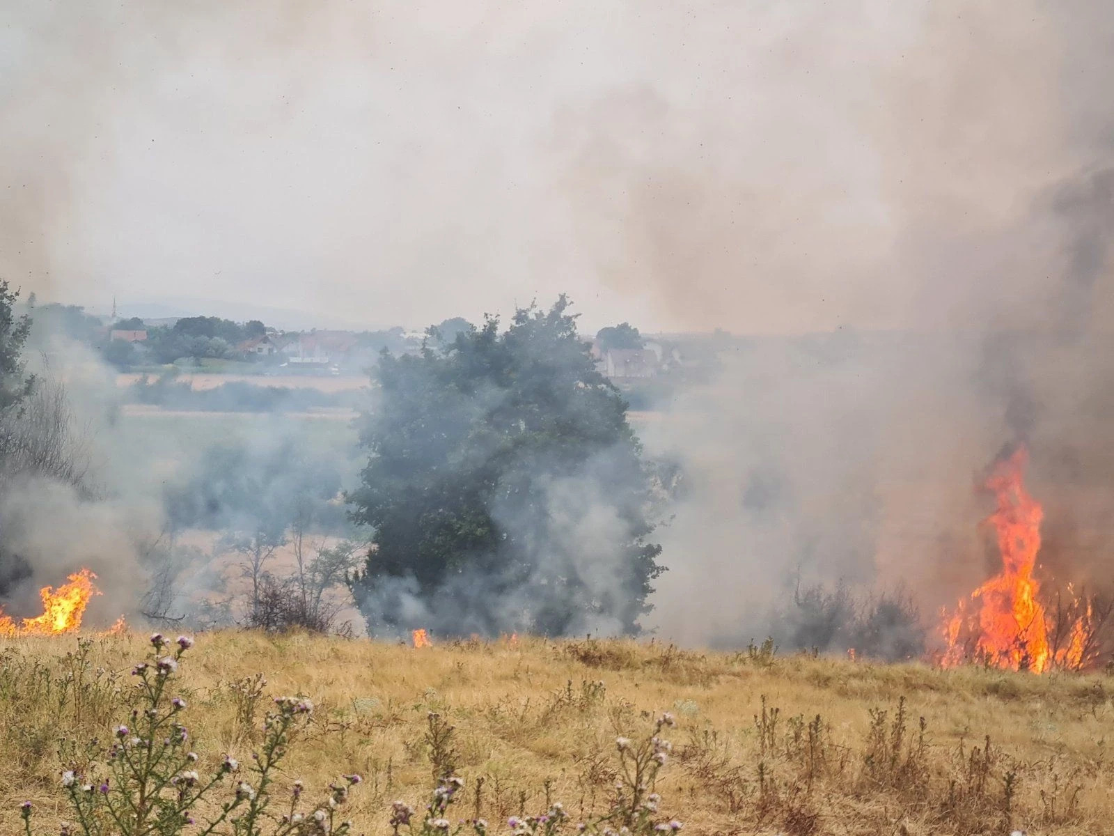 Një polic lëndohet në përpjekje për të shuar zjarrin në Kamenicë