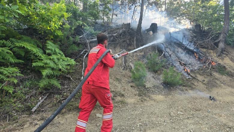 19 vatra zjarri aktive në Shqipëri, 6 helikopterë pritet të ndihmojnë nga ajri
