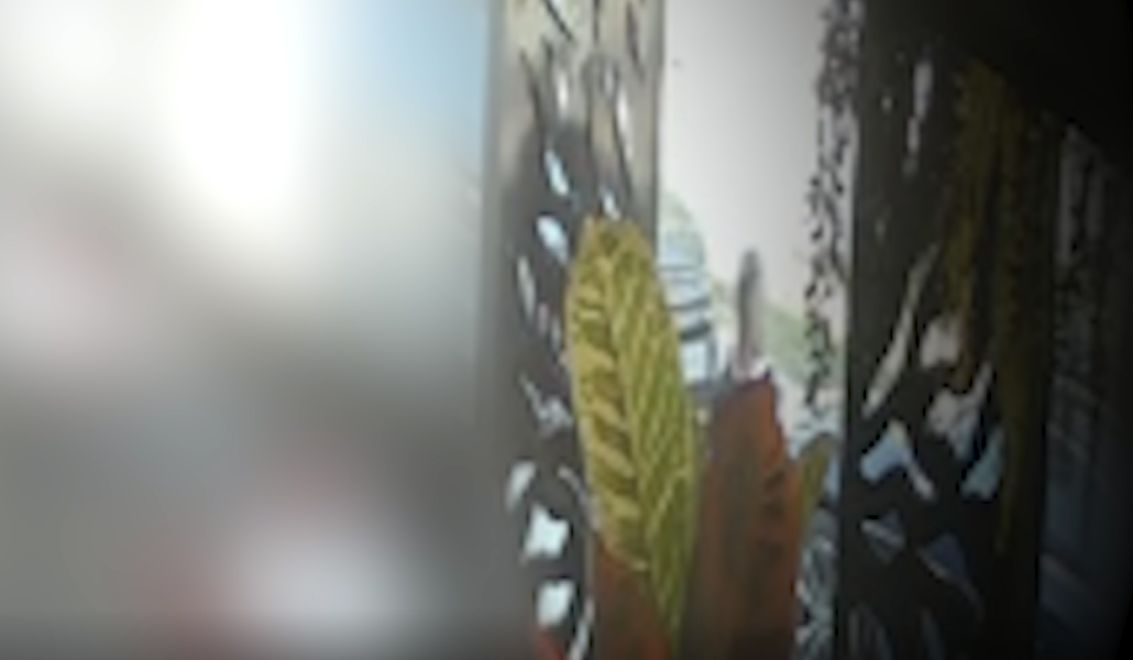 Pamje të reja nga vrasja në Gjilan, momenti kur dëgjohen të shtënat dhe një nga viktimat rrëzohet në tokë