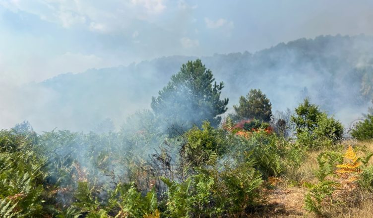 Zjarri në Gramsh, flakët përfshijnë vatra të reja, dëme të mëdha në banesa dhe blegtori