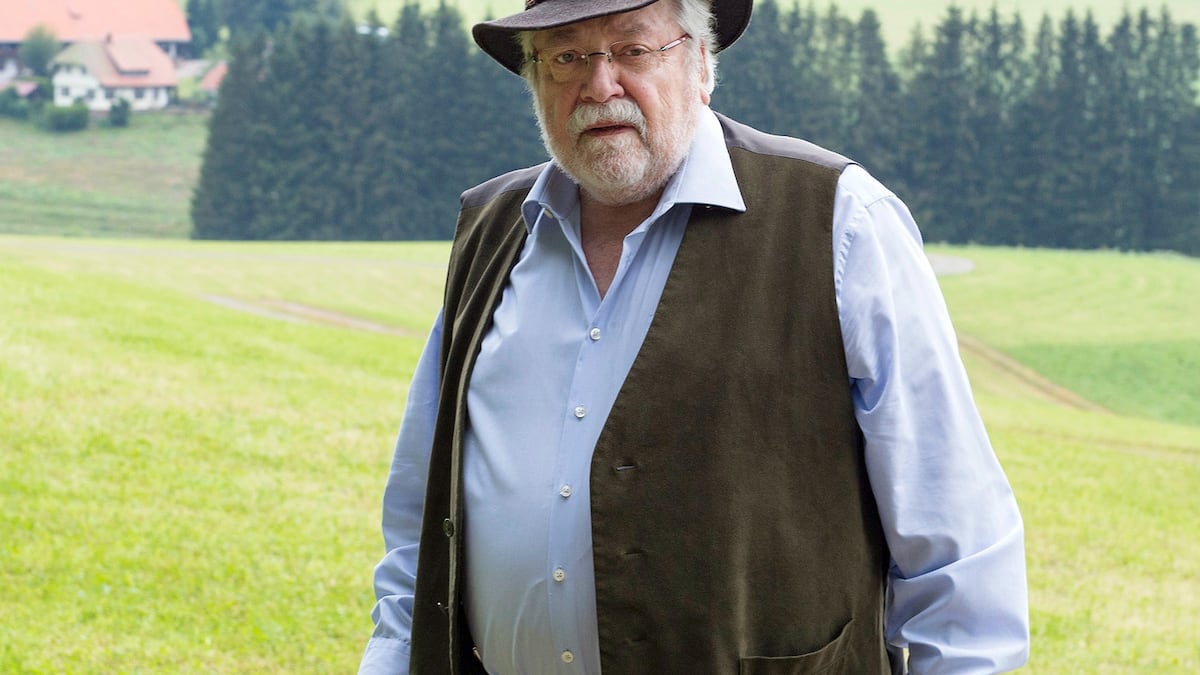 Wolfgang Hepp Gjethet «Die Fallers»