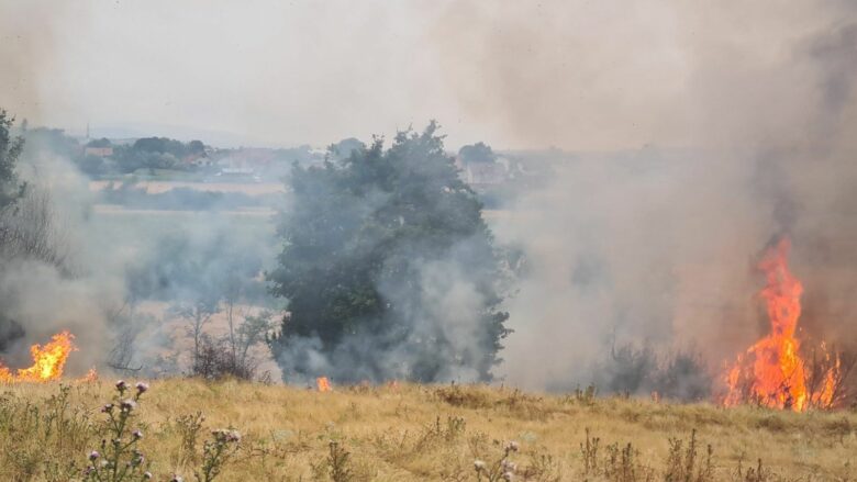 Mbi 61 vatra zjarri në Kosovë gjatë 12 orëve të fundit – 9 ende aktive