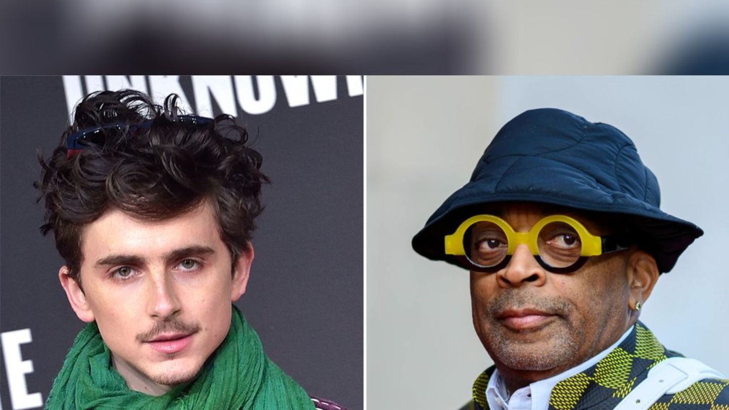 Timothée Chalamet: Drejtori i Kultit dëshiron të kthehet me të