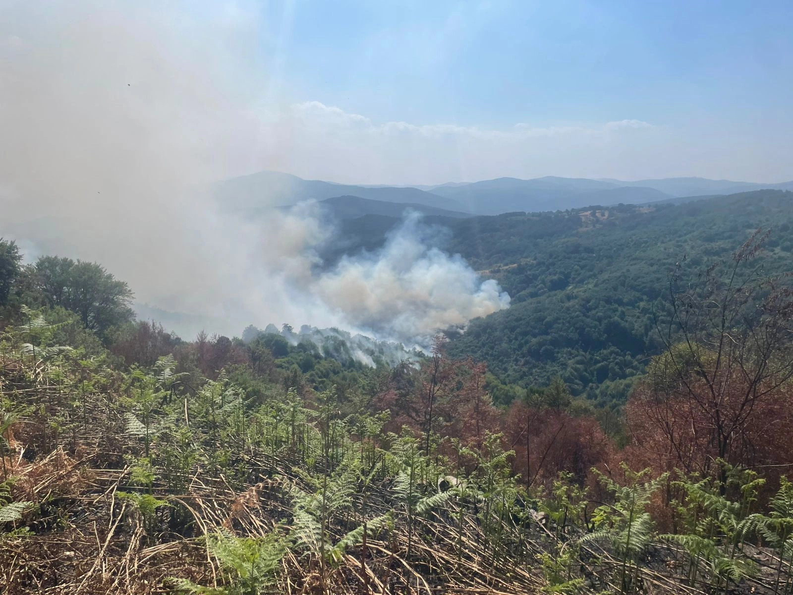 Tetë vatra zjarri aktive në Kosovë
