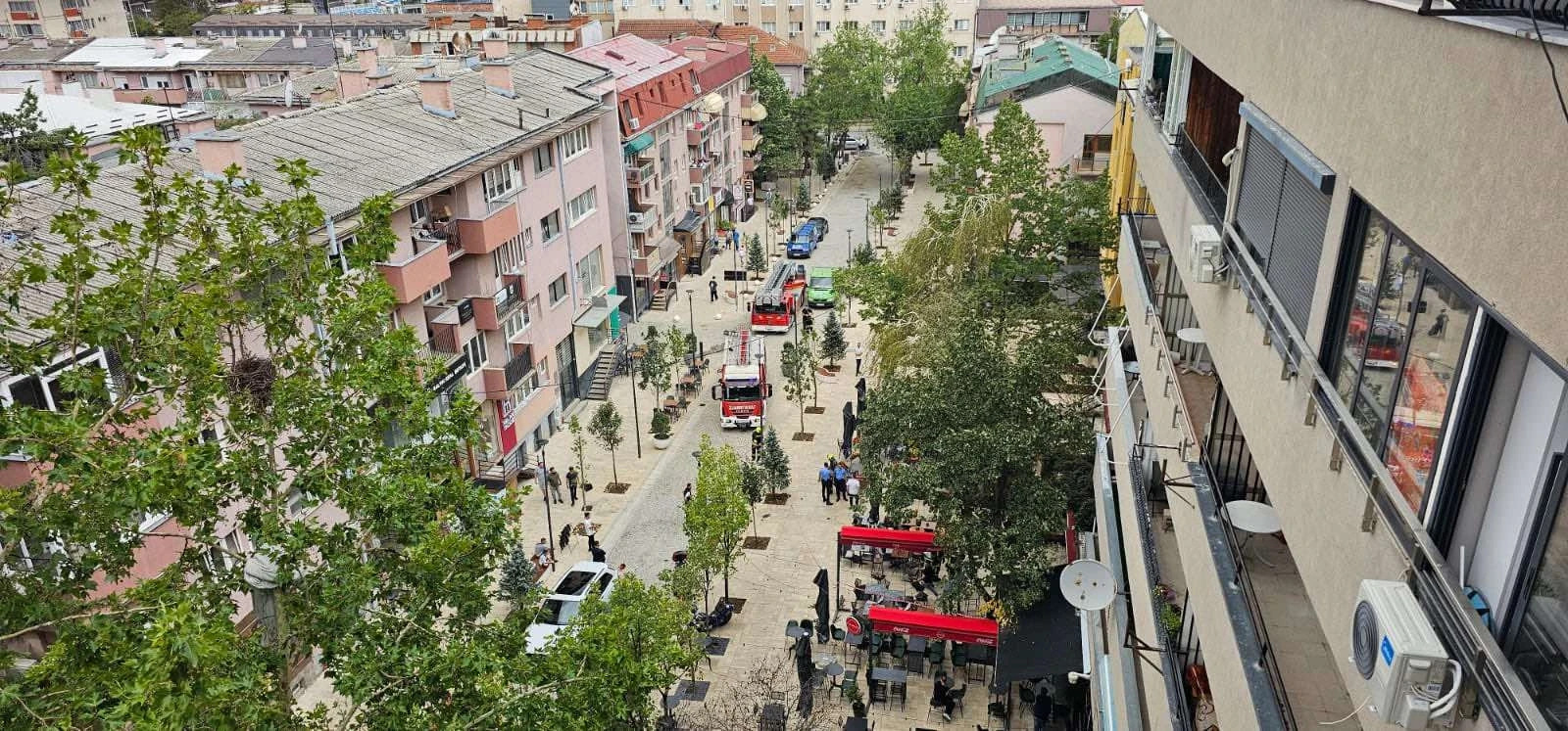 Fryma rrëzon një lis në qendër të Prishtinës, intervenojnë zjarrfikësit