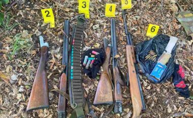 Nga armët tek simbolet nacionaliste – çfarë zbuloi policia në bastisjet e fundit në veri?